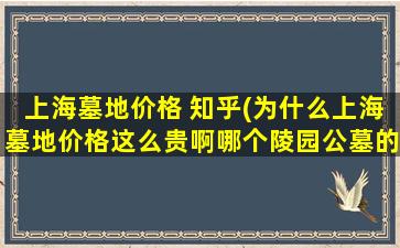 上海墓地价格 知乎(为什么上海墓地价格这么贵啊哪个陵园公墓的价格相对低些)